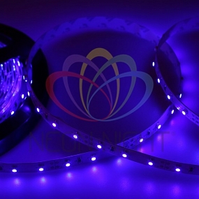 LED лента открытая, 8 мм, IP23, SMD 2835, 60 LED/m, 12 V, цвет свечения синий